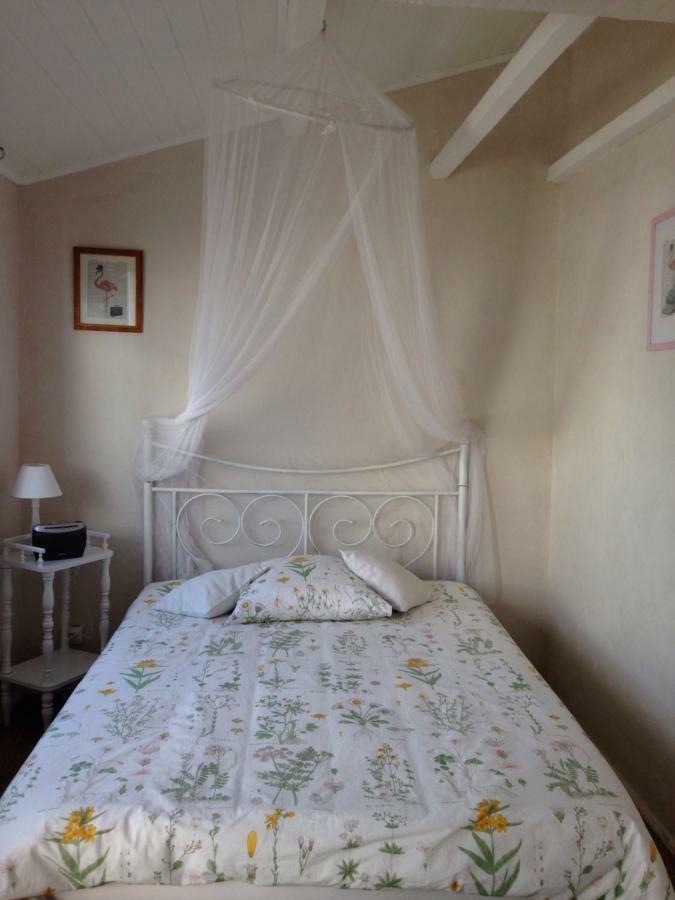 Saint-Laurent-dʼAigouze Seb&Laeti Guesthouse المظهر الخارجي الصورة